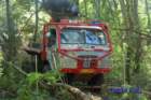 dsc_0155small_small.jpg