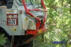 dsc_0164small_small.jpg