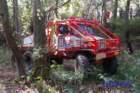 dsc_0232small_small.jpg