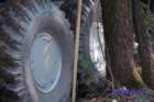 dsc_0278small_small.jpg