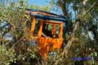 dsc_0310small_small.jpg