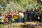 dsc_0313small_small.jpg