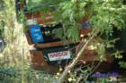 dsc_0327small_small.jpg