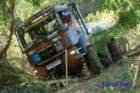 dsc_0336small_small.jpg