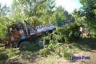 dsc_0346small_small.jpg