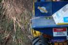 dsc_0364small_small.jpg