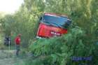 dsc_0383small_small.jpg