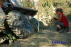 dsc_0391small_small.jpg