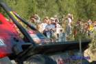 dsc_0395small_small.jpg