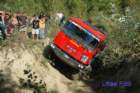dsc_0406small_small.jpg