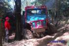 dsc_0006small_small.jpg