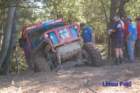 dsc_0050small_small.jpg