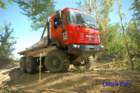 dsc_0130small_small.jpg