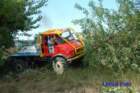 dsc_0251small_small.jpg