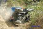 dsc_0263small_small.jpg
