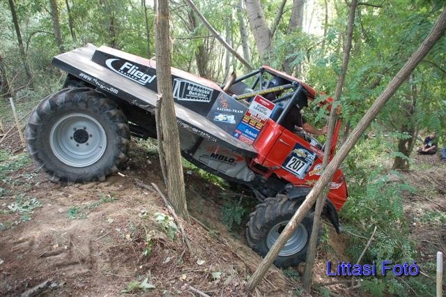 dsc_0365small.jpg