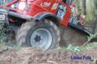 dsc_0380small_small.jpg