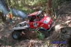 dsc_0391small_small.jpg