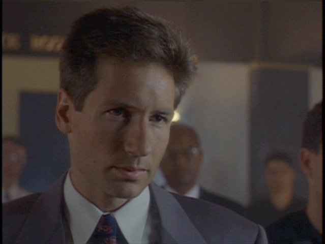 Mulder gynk