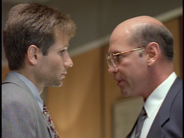 Mulder s a főnke