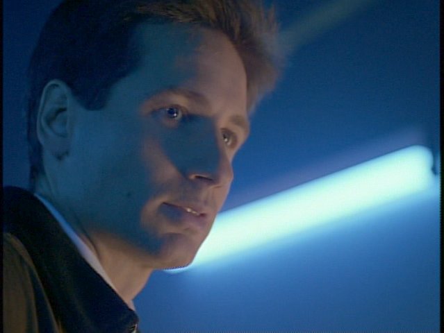 Mulder
