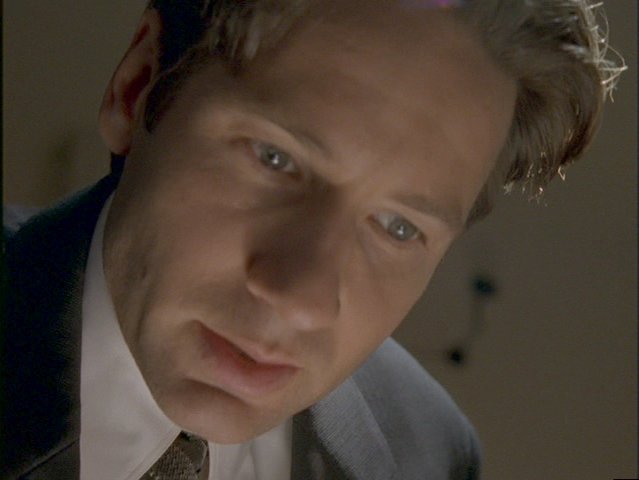 Mulder