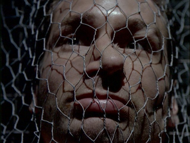 Mulder fogsgban