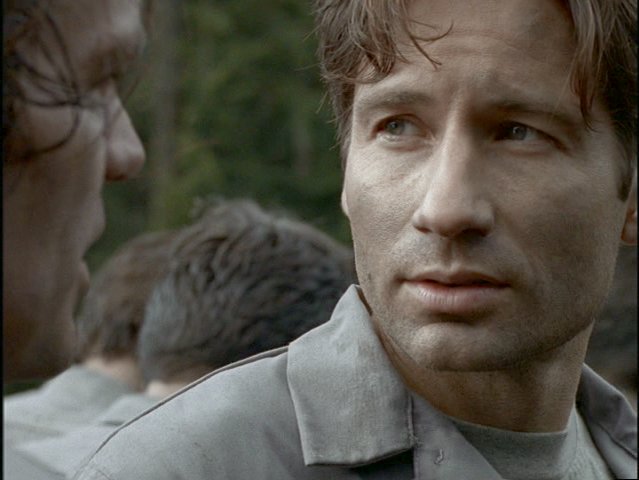 Mulder tllte