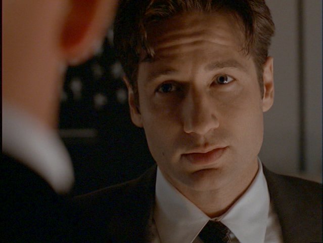Mulder gynk