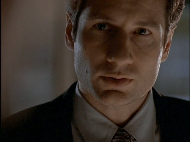 Mulder ügynök