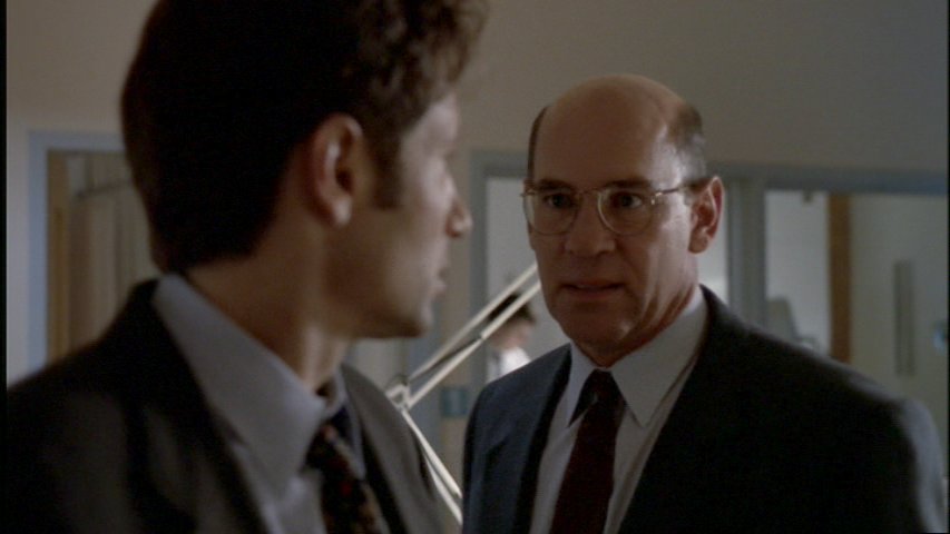 Mulder s Skinner