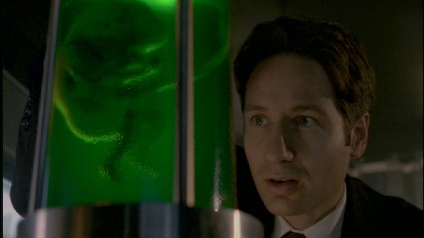 Mulder felfedezse
