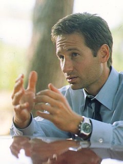 Mulder gynk