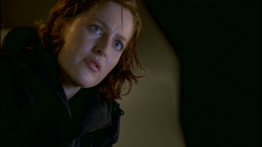 Scully gynk