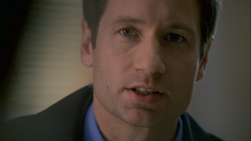 Mulder gynk