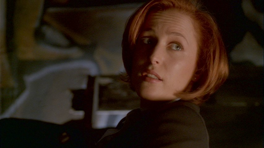 Scully gynk megfigyelsi akciban