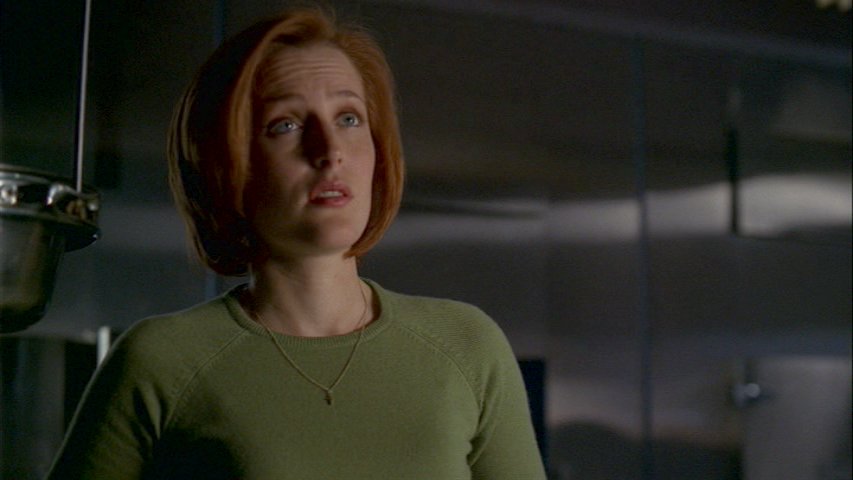 Scully gynk
