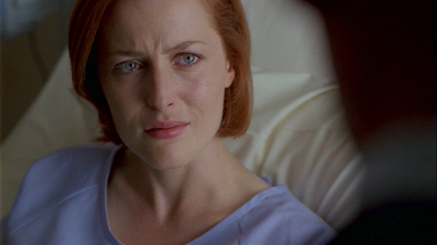 Scully terhes