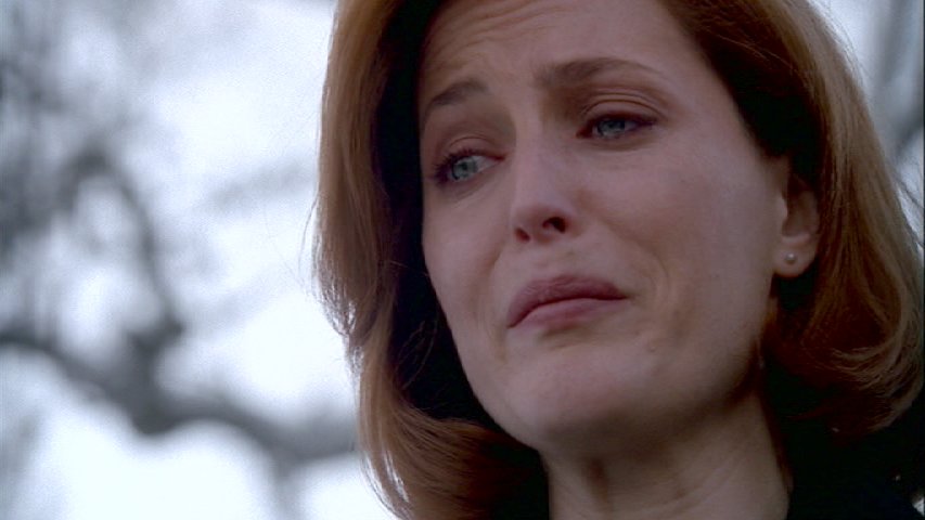 Scully Mulder temetsn