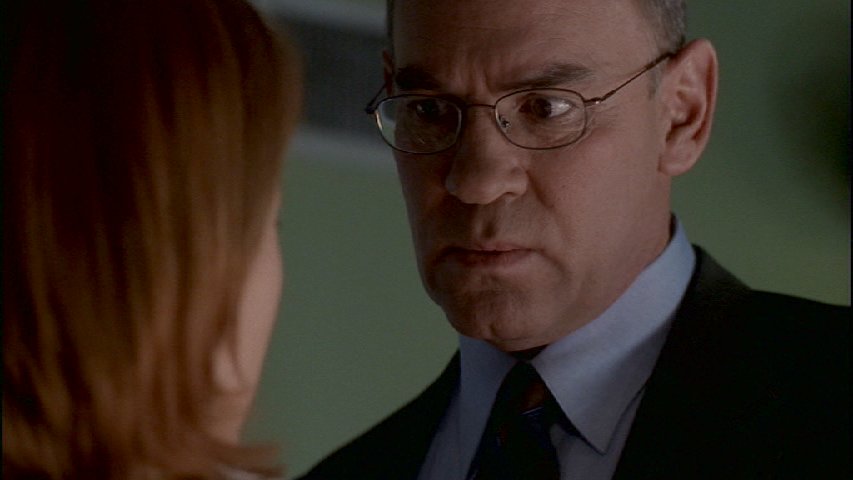 Skinner s Scully