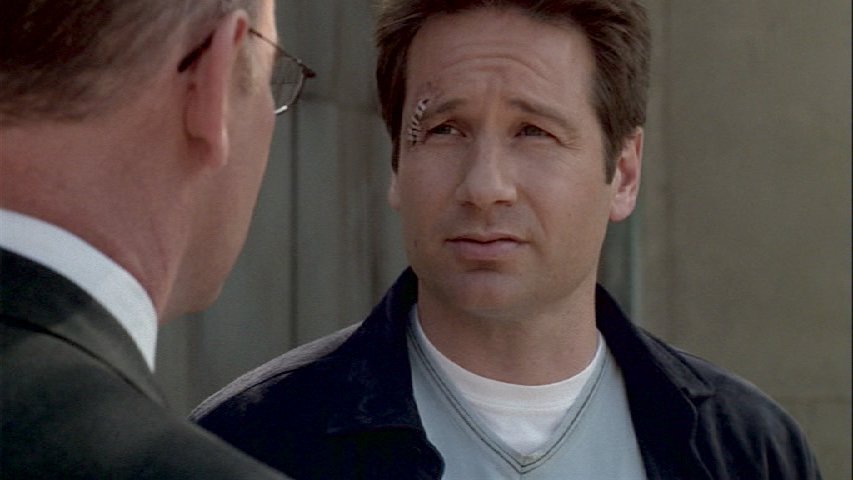 Mulder s Skinner