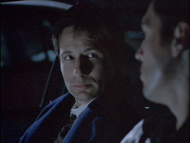 Mulder gynk