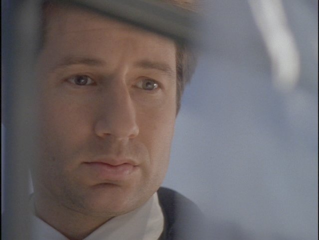 Mulder