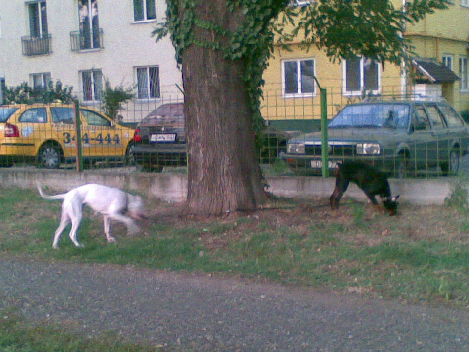 2009.09.18.jpg