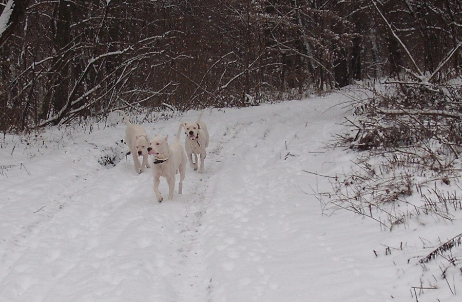 20091219_2.jpg