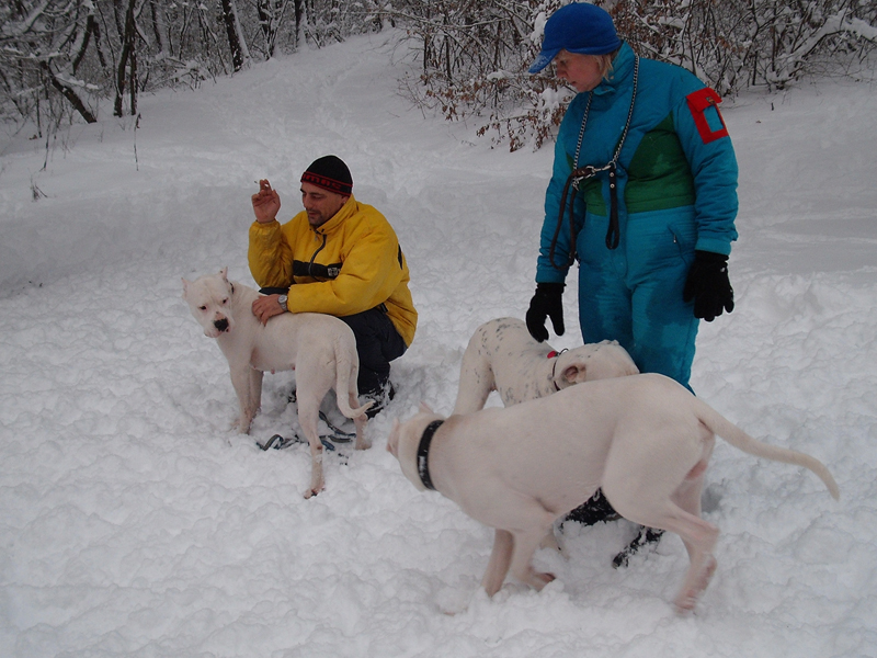 20100131_001.jpg