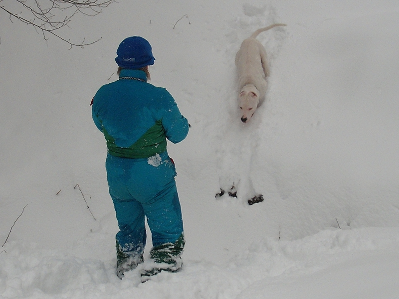20100131_005.jpg