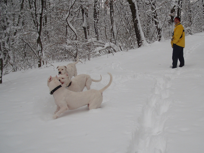 20100131_007.jpg