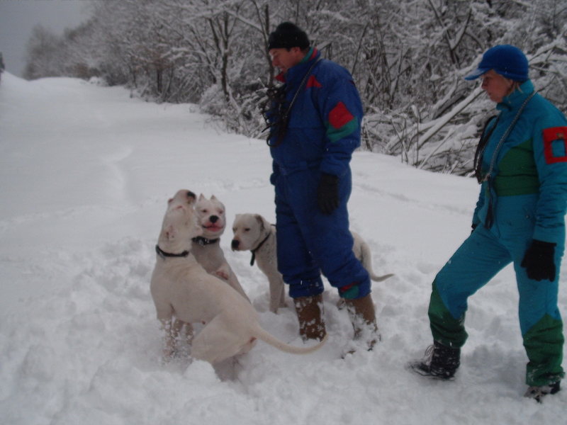 20100131_009.jpg