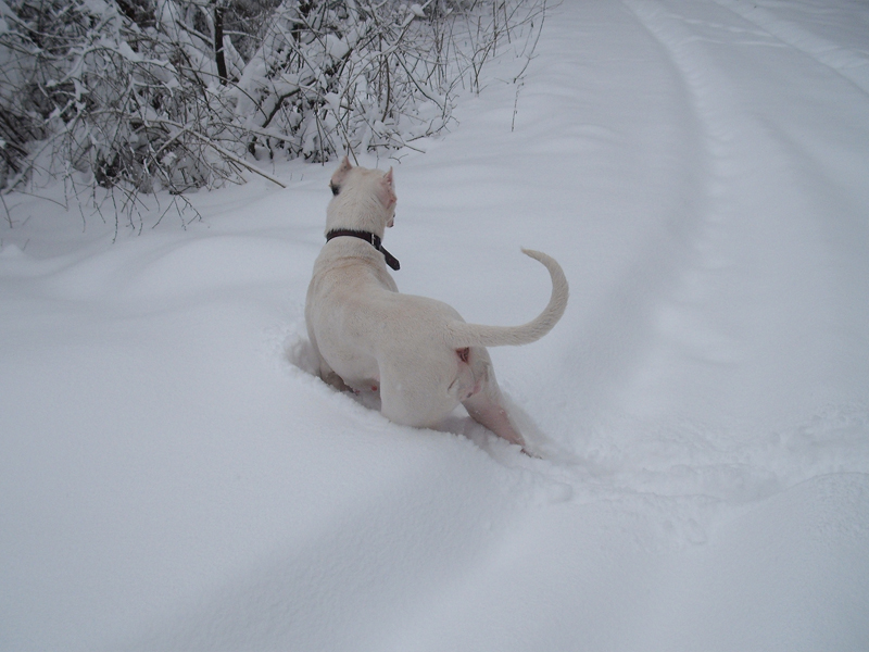 20100131_012.jpg